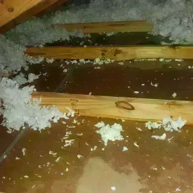 Attic Water Damage in West Athens, CA