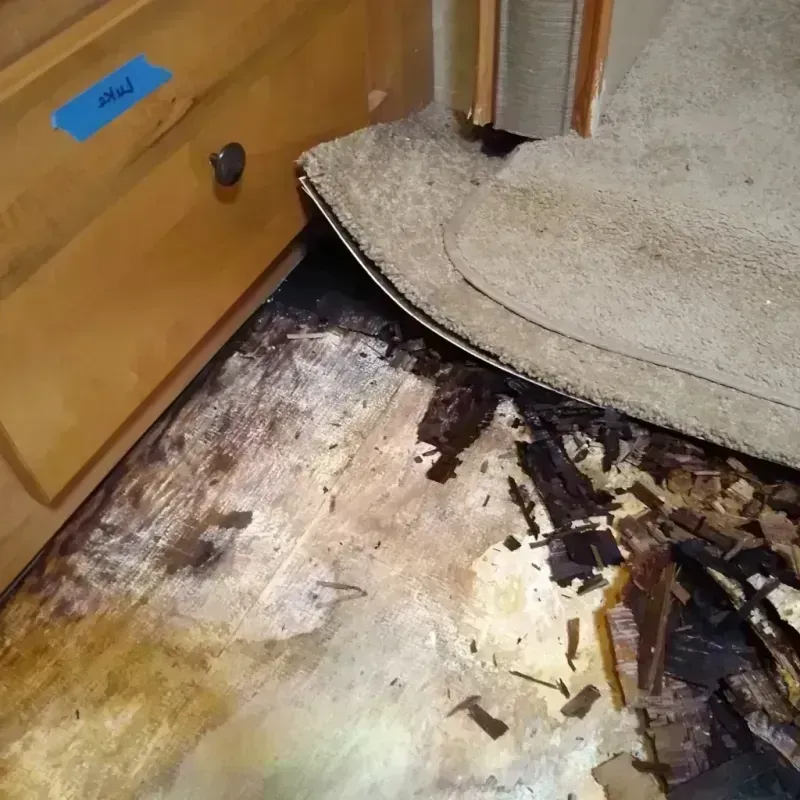 Wood Floor Water Damage in West Athens, CA